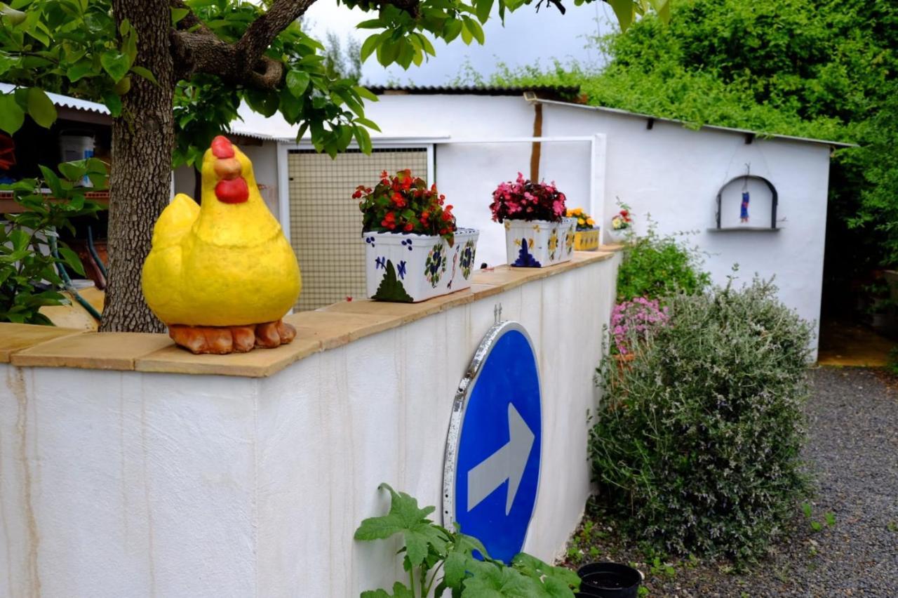 The Shed Villa Cehegín Екстериор снимка